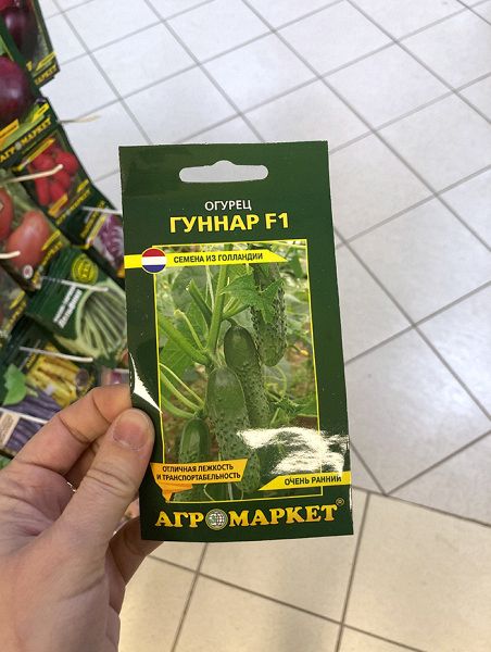 огурец партенокарпический Гуннар F1